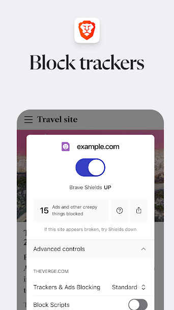 Brave Browser Screenshot 4 - Brave Browser In-Game Screenshot 4