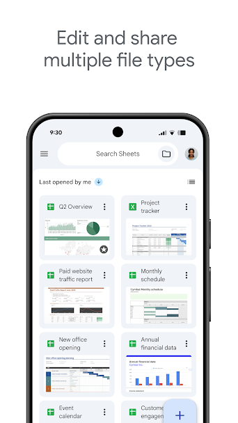 Google Sheets Screenshot 3 - Google Sheets In-Game Screenshot 3