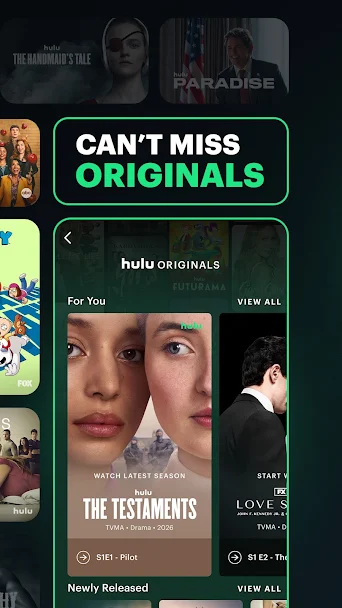 Hulu Screenshot 2 - Hulu In-Game Screenshot 2
