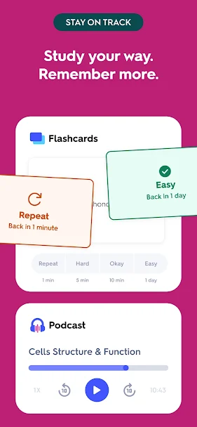 Quizlet Screenshot 2 - Quizlet In-Game Screenshot 2