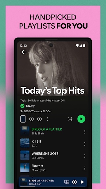 Spotify Screenshot 4 - Spotify In-Game Screenshot 4