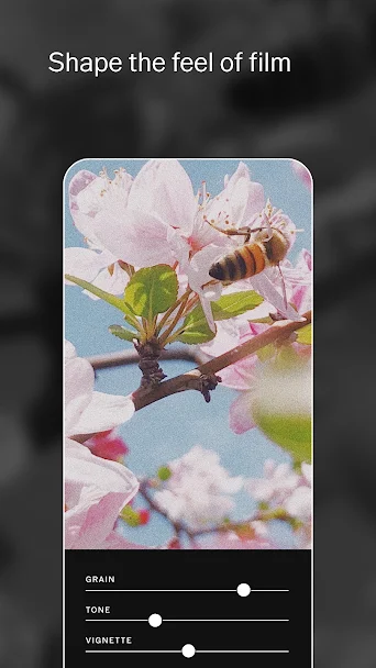 VSCO X Screenshot 4 - VSCO X In-Game Screenshot 4